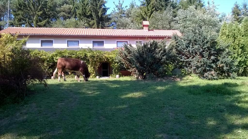 Orsegi Patakparti Alpaka Panzio Bed and Breakfast Kisrakos Exterior foto