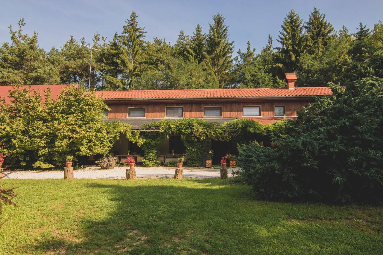 Orsegi Patakparti Alpaka Panzio Bed and Breakfast Kisrakos Exterior foto